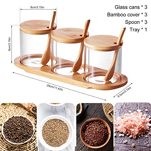 6 Pcs Condiment Jar, Glass Seasoning Container with Bamboo Lid and