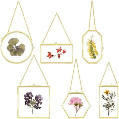 6 Pcs Double Glass Frame for Pressed Flowers, 6 Different Golden Hanging Glass Picture Frames with Chain Gold Floating Frame Artwork Display Frame for Gallery Wall Decor Dried Plant Leaf