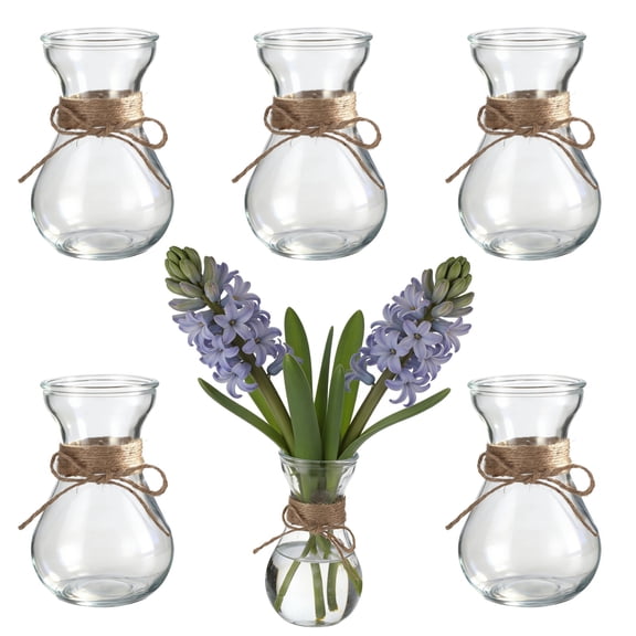 6 Pcs Small Glass Vases for Centerpieces, Clear Bulb Vases for Flowers, Hyacinth Growing Bud Containers with Pre-Tied Jute String for Home, Wedding, Party Tabletop Decor