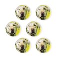 6 Pcs Glass Fridge Cute Fridge Sticker, Heavy Duty