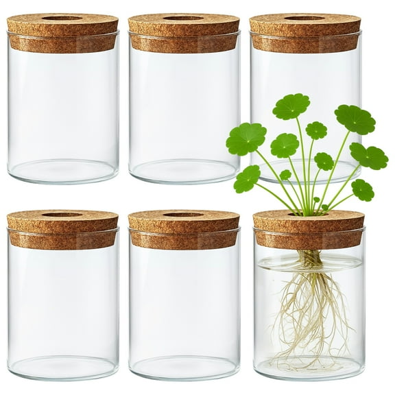 6 Pcs Glass Propagation Vases for Plants, Soft Cork Stopper Glass Flower Pots, Cylinder Design, Ideal for Indoor Decorative Planting, Perfect for Multiple Home Styles