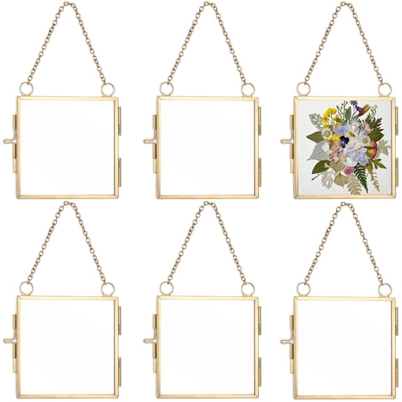 6 Pcs Mini Glass Hanging Frames, Small Double-Sided Glass Picture Frame with Chain, 2.8 x 2.8 Inch DIY Display Frame for Pressed Flowers, Artworks, Dried Plant Specimens
