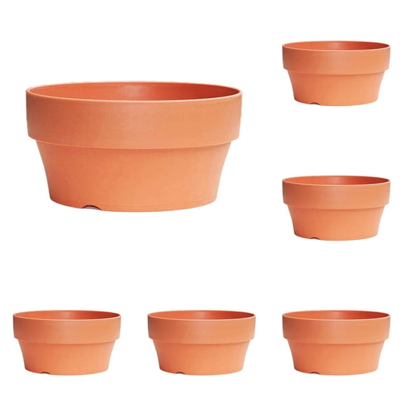 6 Pcs Mini Terracotta Flower Pots 6.29 Inch, Shallow Planters for Indoor Outdoor Succulents Cactus Plants, Small Garden Containers for Windowsill Shelf, Planting and Gardening
