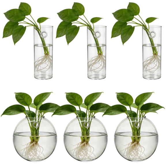 6 Pcs Modern Glass Wall Planter Set for Home, 3 Semi-Circular Clear Vases, 3 Cylindrical Hanging Propagation Stations, Hydroponic Indoor Living Room & Office Wall Decor