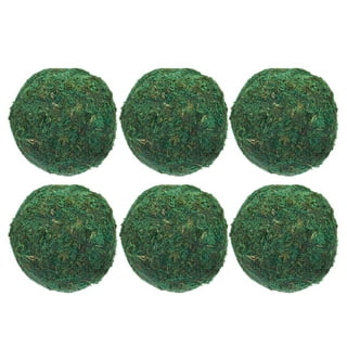 NUOLUX 2pcs Preserved Moss Decorative Moss Balls Decor Balls Green Moss  Decor Indoor Ornaments 