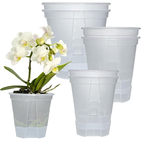 6 Pcs Naked Root Planters - Clear Self Watering Pots with Deep Reservoir and High Drainage Holes - for Indoor Outdoor Plants Flowers Orchids Violets Herbs Succulents