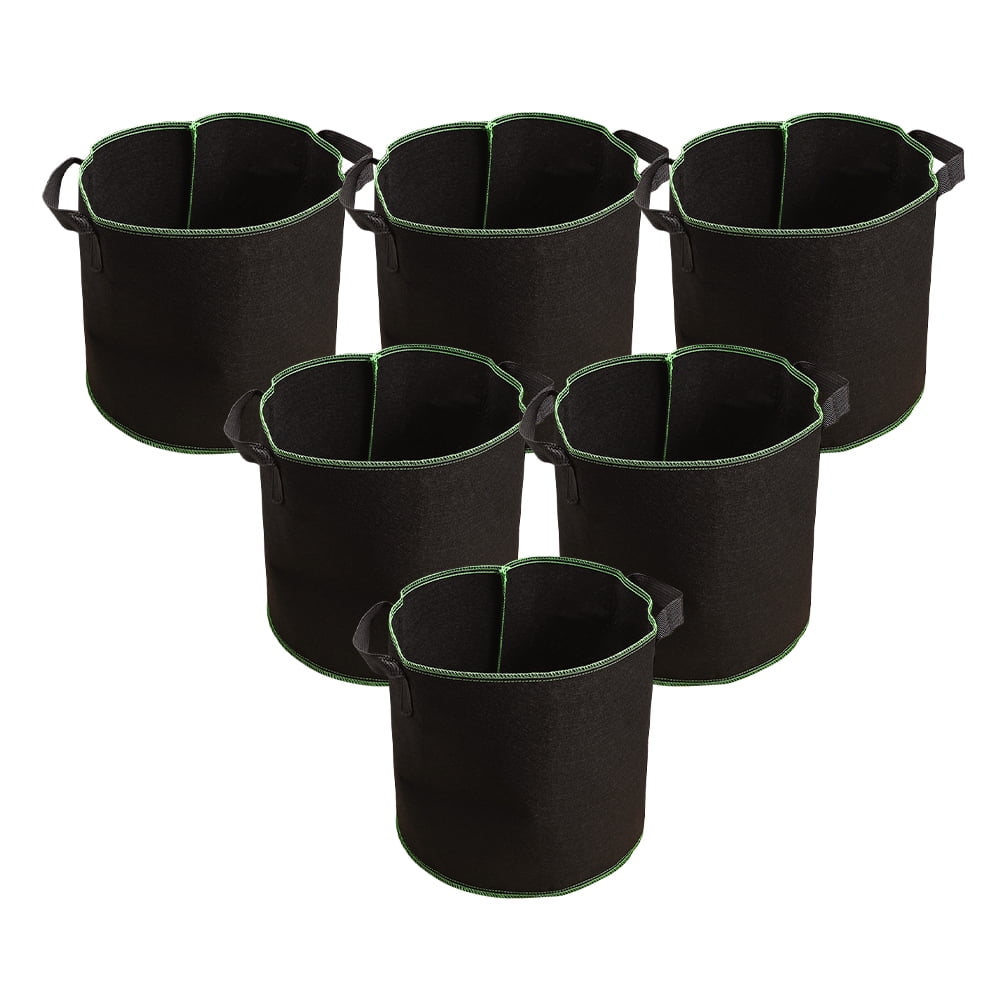 Tomato Plants In Pots For Sale - Foto 7