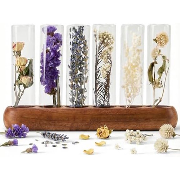 6 Pcs Preserved Plants with Walnut Base, Aesthetic Bookshelf Decor Accents, Everlasting Real Dried Flower Decor for Home Office, 365 Days Vibrant Display, Unique Gifts for Women & Friends