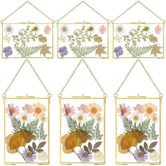 6 Pcs Pressed Flower Glass Picture Frames 6 x 4 Inch Brass Hanging Double Glass Frame Gold Floating Photo Frame Clear Horizontal Vertical Frames with Chain for Gallery Vintage Artwork Display