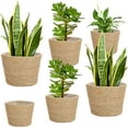 thumbnail image 1 of 6 Pcs Seagrass Planter Basket Flower Pots Cover Plant Baskets Hand Woven Plant Basket Storage Containers with Plastic Liners for Indoor Outdoor Flower Pots Decoration 10, 7, 8.3 Inch(Classic), 1 of 7