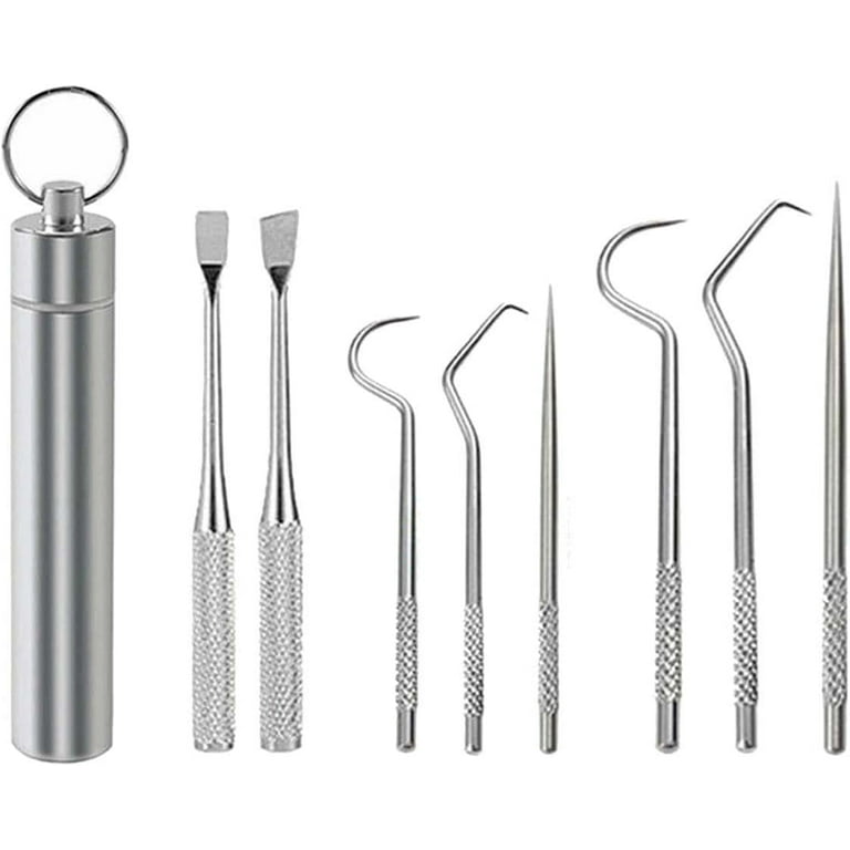 6 Pcs Stainless Steel Toothpick Set, Reusable Toothpick Metal ToothPicks  for Teeth, Portable Pocket Tooth Pick with Toothpick Holder for Outdoor  Travel (1 Set (8 Pcs/Set)) 