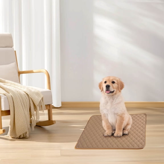 6 Pcs Thickened Pet Urine Pad for Deodorization Waterproof and Instant Water Absorption Washable Easy To Dry Reusable Pet Training Pee Pad for Floor, Sofa, Whelping, Training, Playpen Crate
