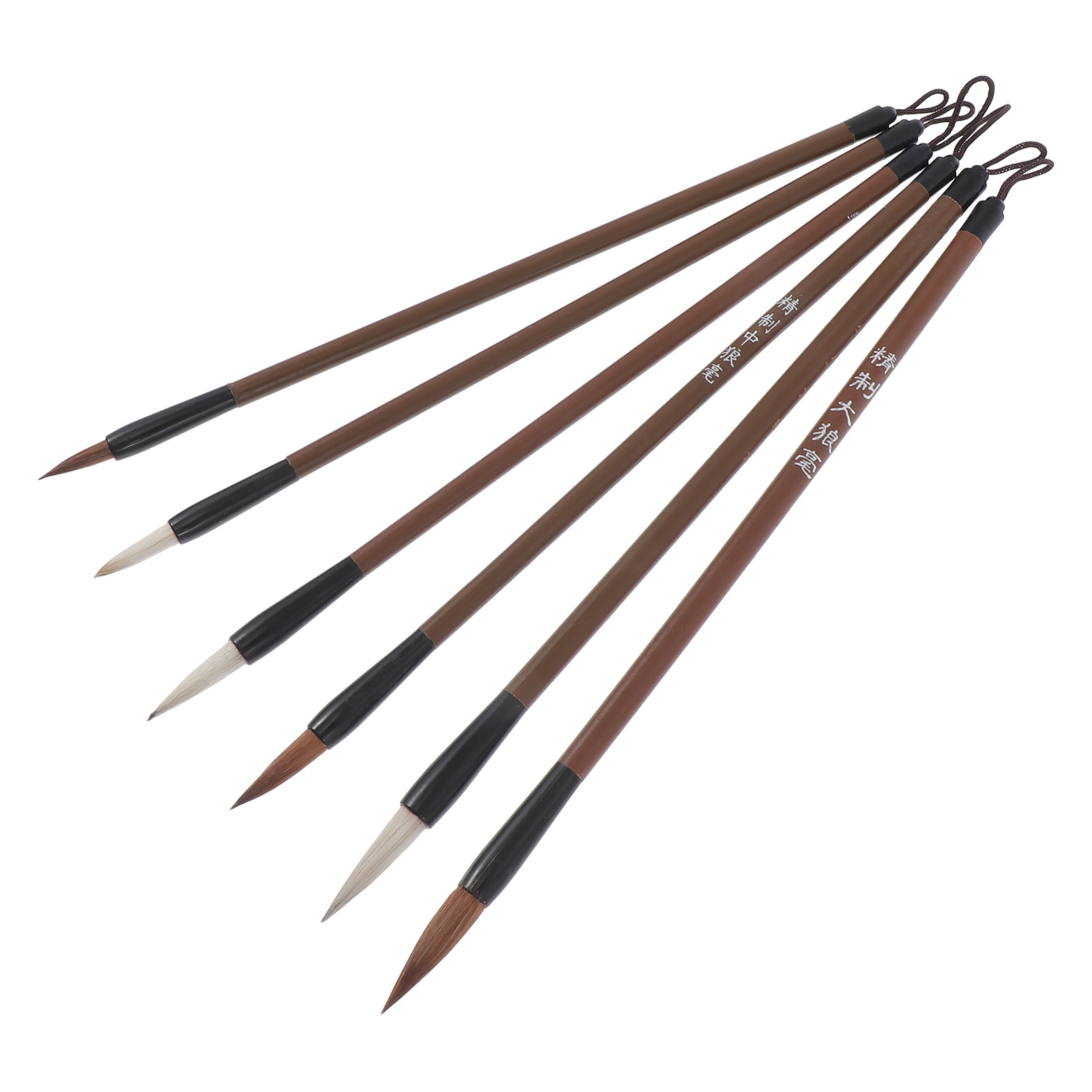 6 Pcs Writing Brush Calligraphy Chinese Pen Nail Kit Set Paint Sumi