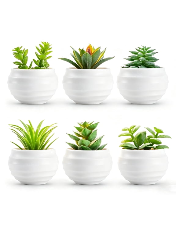 4 in Artificial Succulents in Plastic Grower Pot (6 Count)