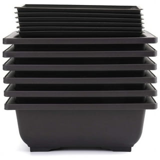 Bonsai Training Pots & Humidity Trays - Built in Mesh, 6 and 8