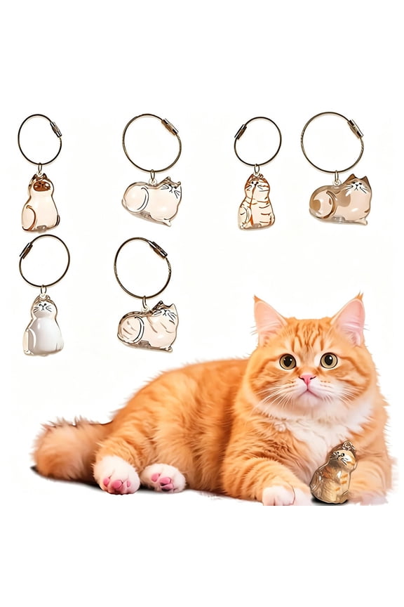 6-Piece Cat Hair Memorial Pendant Set, Clear Capsule Pet Keepsake Jewelry, Portable Remembrance Keychain & Soft Fur Storage Pendant, Meaningful Sympathy Gift for Pet Owners and Cat Lovers