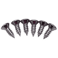 thumbnail image 1 of 6 Piece Headlight Bezel Screw Set For 1956 Chevy Bel Air 150 210 and Nomad, 1 of 1