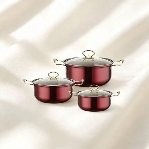 6-Piece Stainless Steel Cookware Pot Set with Glass Lids, Multi-Size Stock Pots with Gold Tone Handles, Induction Compatible Cooking Pots for Gas, Electric & Ceramic Stovetops, Home Kitchen Set