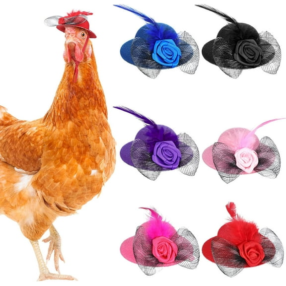 6 Pieces Chicken Hats for Hens Tiny Pets Funny Halloween Accessories, Feather Top Hat with Adjustable Elastic Chin Strap Rooster Duck Parrot Poultry Stylish Show Costume