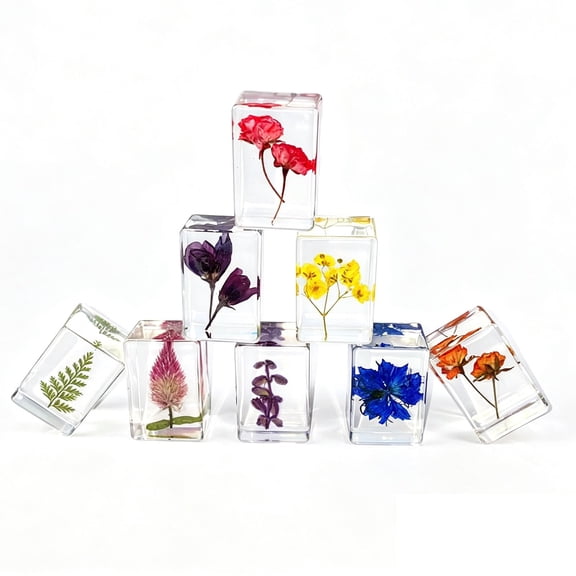 6 Pieces Pressed Flower Paperweight Flower in Resin Specimen Collection for Desk Real Flowers Samples Paper Weights Square Paperweight Cube for Kids Scientific Educational Toy, Office Table Decor