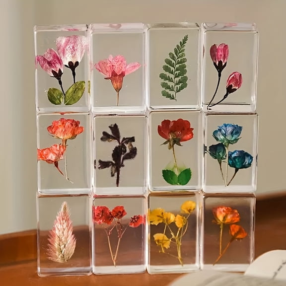 6 Pieces Pressed Flower Paperweight Flower in Resin Specimen Collection for Desk Real Flowers Samples Paper Weights Square Paperweight Cube for Kids Scientific Educational Toy, Office Table Decor