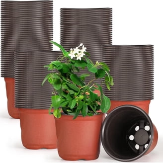 indoor planter saucer Zelle Planter with Saucer 8
