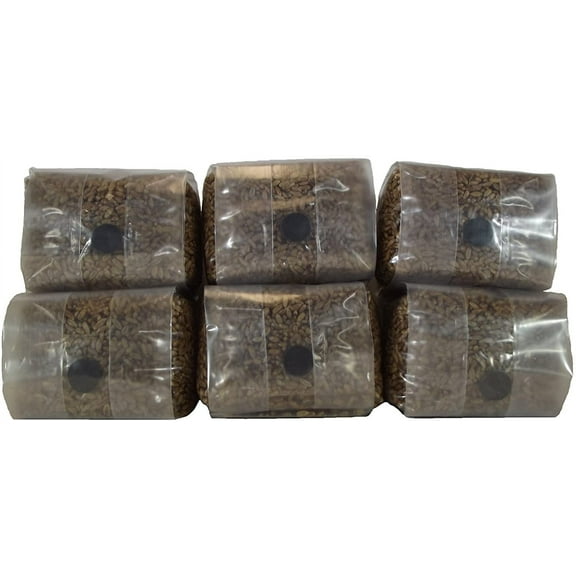6 Pounds of Sterilized Rye Berry Mushroom Substrate With Self Healing Injection Port: 6x1 lbs Bags