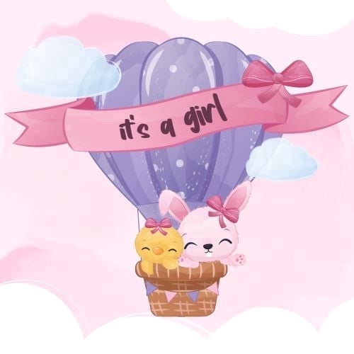 Its a Girl Baby Chick & Rabbit in Hot Air Balloon Edible Icing Image Cake topper, by Tnct.