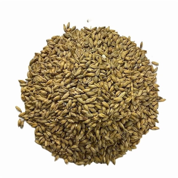 6 Row Barley High Enzyme Distillers Malt for Home Brewing, Beer Making - 1lb - CRUSHED (Pre-Milled)