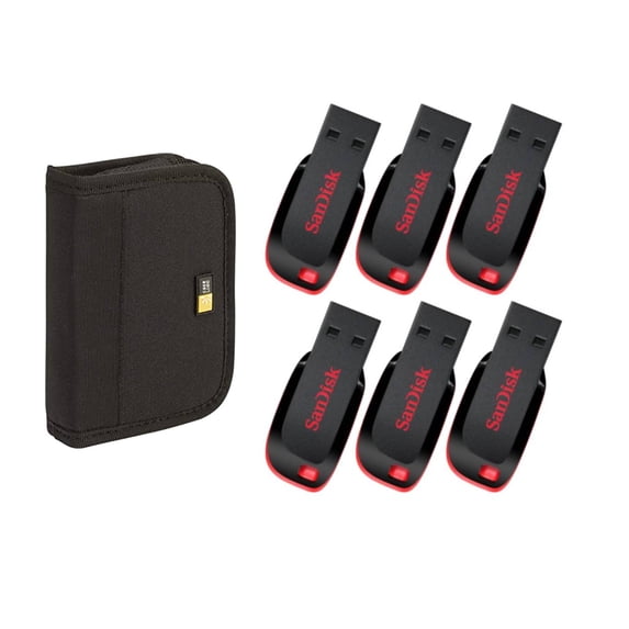 6 SanDisk 32GB SDCZ50-032G, Cruzer Blade, USBs + Case