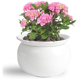 BUYMAX 6" African Violet Pot ,Ceramics Self-Watering Plant Pot for Indoor Plants,White