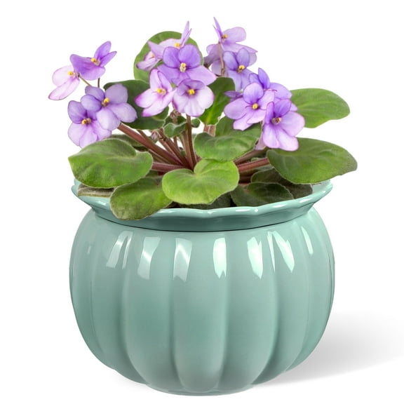 EFISPSS 6" Self-Watering Pumpkin-Style Ceramic African Violet Pot – Pumpkin-Blue Indoor Planter, No Plant Included
