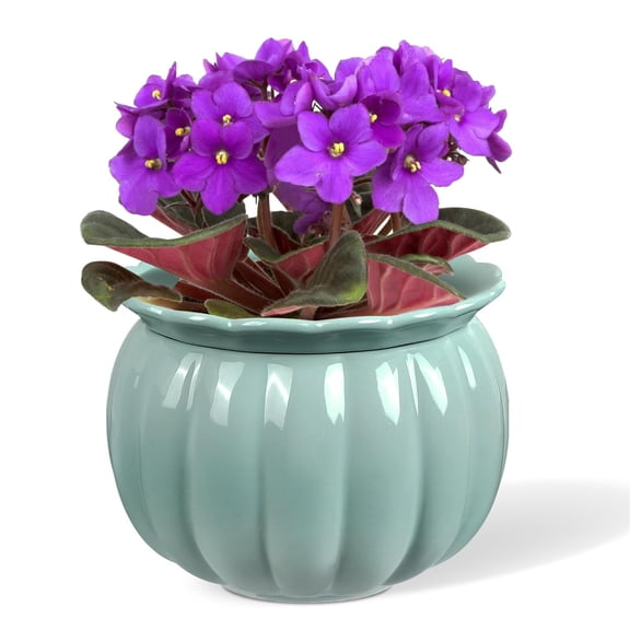 EFISPSS African Violet Pot ,6" Ceramic Pumpkin Easy Self Watering Flower Pot, For Indoor Plants,Glaze Blue