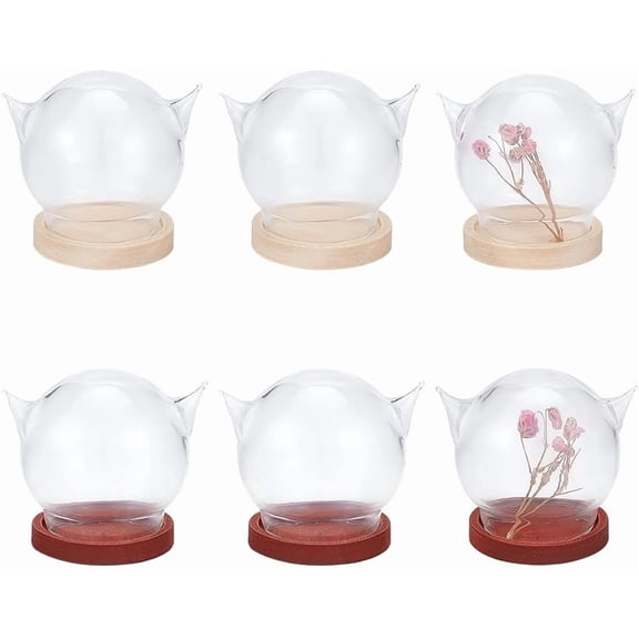 6 Sets Glass Dome Cloches Glass Cat's Head Dome with Wooden Base Decorative Display Case DIY for DIY Preserved Flower Gift Home Decoration Inner Diameter: 0.84 Inches