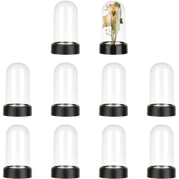 6 Sets Plastic Display Dome Cloche Display Dome Case with Acrylic Base Clear Cloche Bell Jar Terrarium 1.8x3.23 Inch DIY
