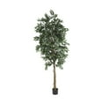 thumbnail image 1 of 6' Smilax Tree, 1 of 4