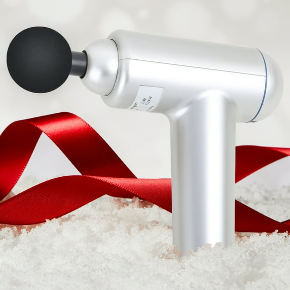 Deep Tissue Muscle Massage Gun with 6 Speeds, Silver, Includes 4 Massage Heads