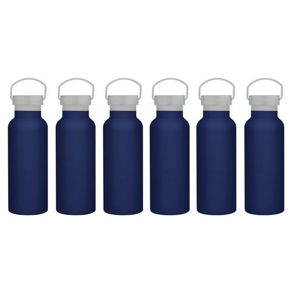 6 Stainless Steel Canteen Water Bottles Set, 17 oz. - Double Wall, Wire Handle - Blue
