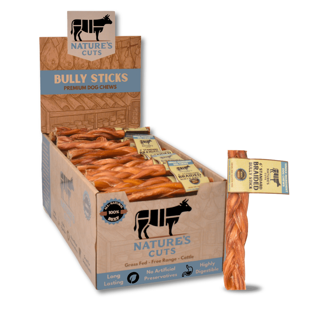 6" Braided Standard Bully Sticks Display Box (60 ct) with Individual UPC Tags - 100% All Natural Beef