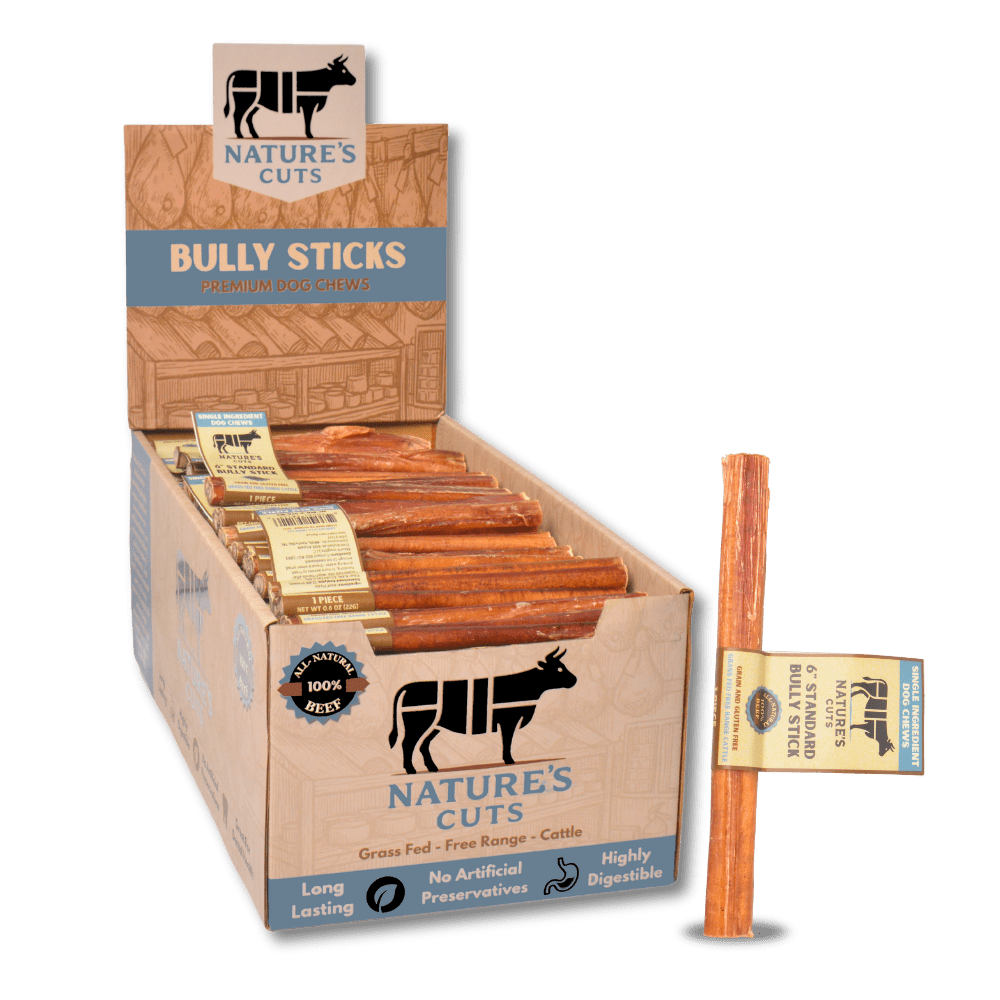 6" Standard Bully Sticks Display Box (100 ct) with Individual UPC Tags - 100% All Natural Beef