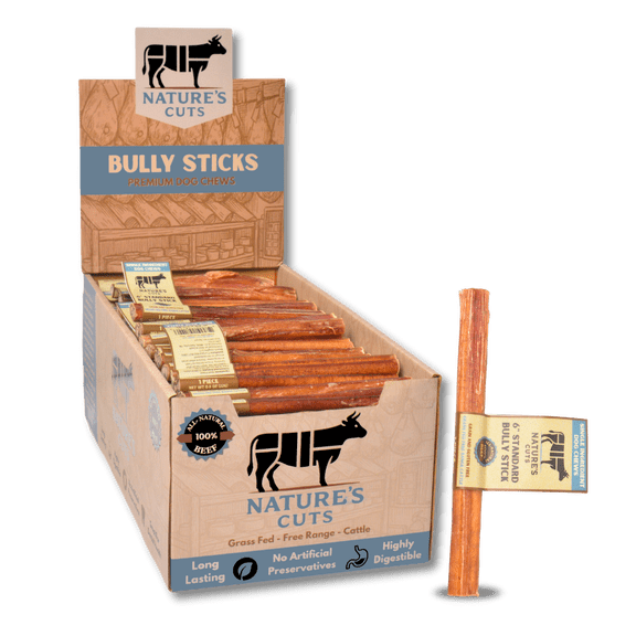 6" Standard Bully Sticks Display Box (100 ct) with Individual UPC Tags - 100% All Natural Beef