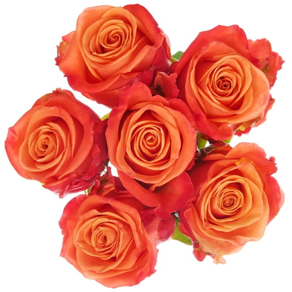Assorted Color Roses 6 Stem