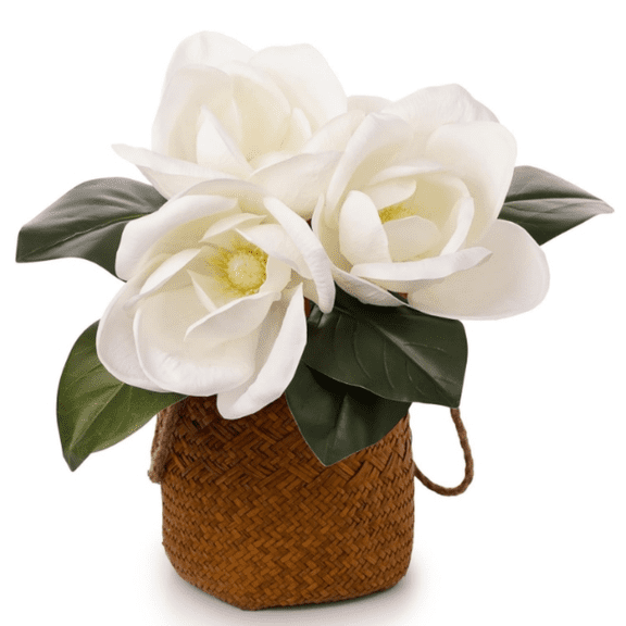 6 Stems Real Touch Creamy White Magnolia Flowers for Vases, Artificial Realistic Magnolia Large Flowers for Home Dcor