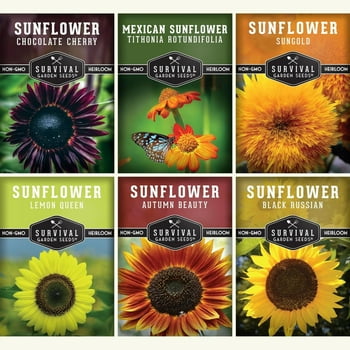 6 Sunflowers with Black Russian, Chocolate Cherry, Sungold, Lemon - Full Sun Annual Flower Seeds
