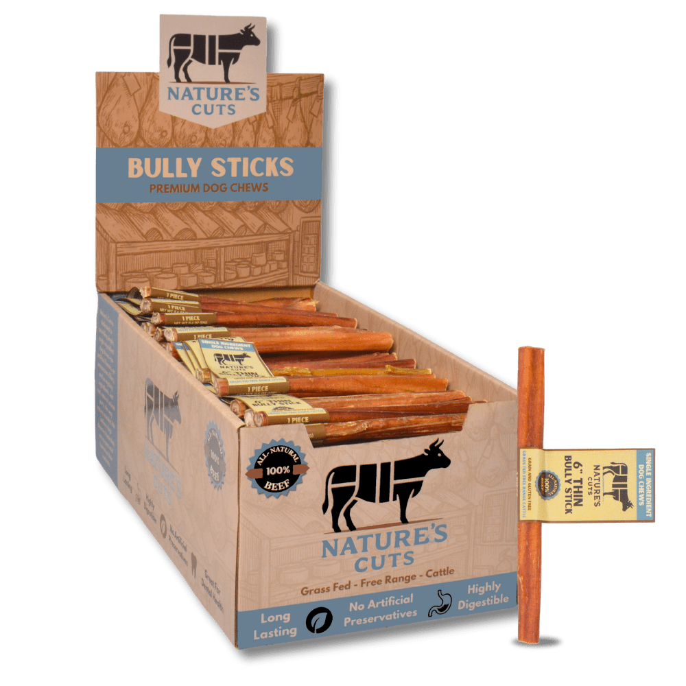 6" Thin Bully Sticks Display Box (100 ct) with Individual UPC Tags - 100% All Natural Beef