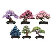 6 Types of Bonsai Tree Seeds for Planting - Pick from 3 Kits or Get Them All Kit 3-6 Types