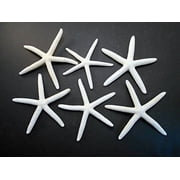 6 White Pencil Finger Starfish 5-6" Beach Wedding Nautical Decor Crafts