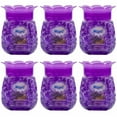 6 Wizard Odor Eliminator Gel Beads Lavender Scent Air Freshener