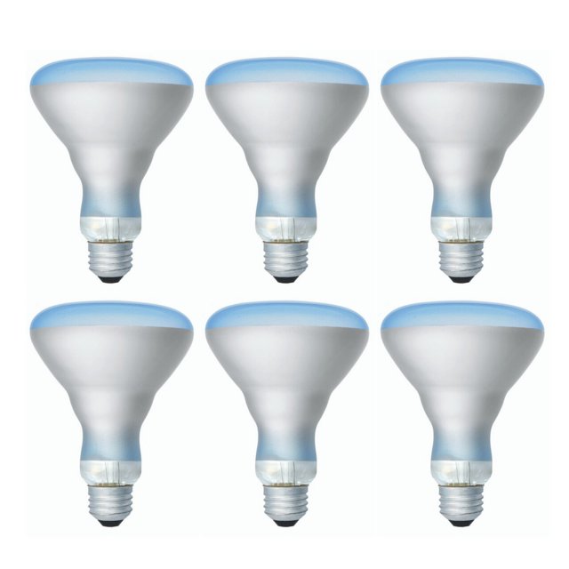 (6 bulbs) GE 30711 Incandescent Plant Light Bulb, 65 watts, BR30