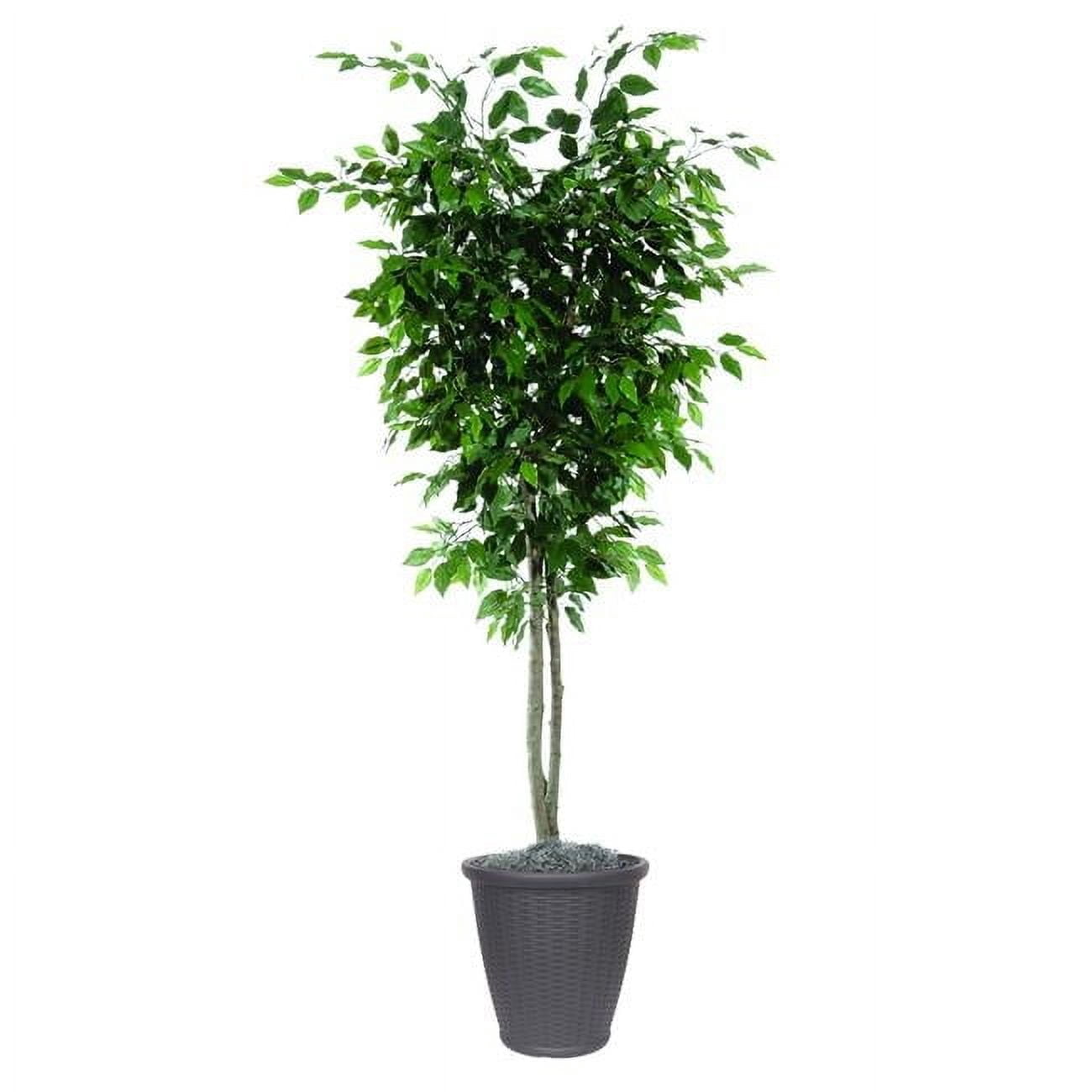 6 ft. Artificial Ficus Deluxe Tree in Round Gray Container, Green ...